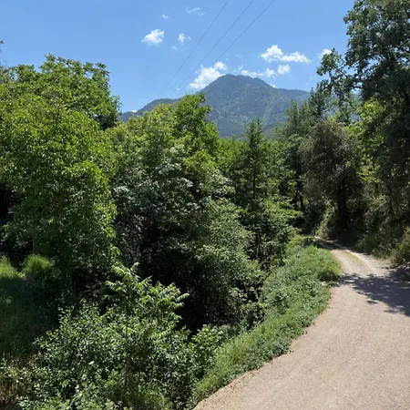 Du Canigou *